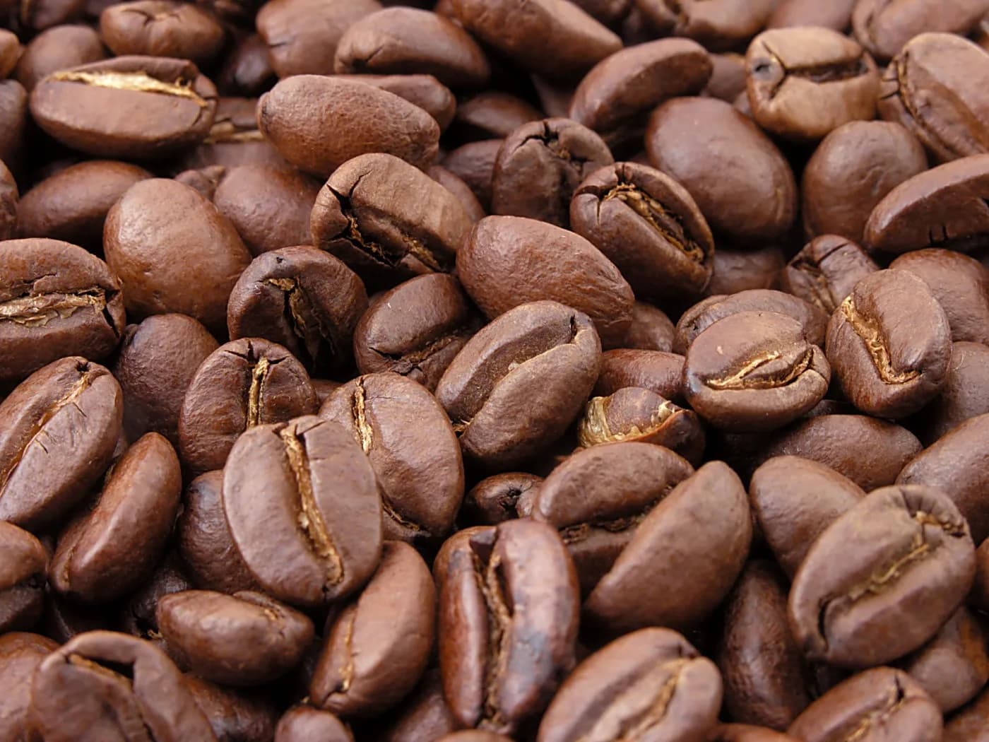 Coffee — Mount Kilimanjaro & Southern Highlands, Tanzania