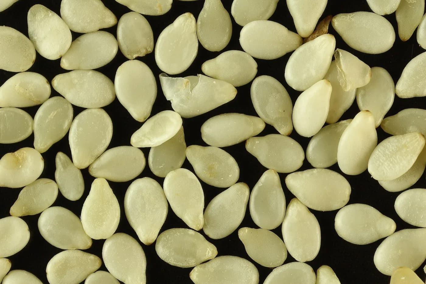 Sesame — Central & Southern Tanzania — Dodoma, Singida & Mbeya